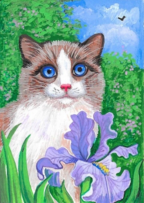 ACEO PRINT OF PAINTING RYTA RAGDOLL CAT IRIS FLOWER GARDEN LANDSCAPE ART SUMMER