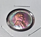 29S - 44P- 34P- 38S - 55S  Lincoln Wheat Cent 1c Gem BU Monster Rainbow TONER