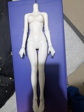 Legit Bjd Msd Body 1/4 Xaga Doll