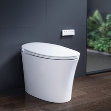 Smart Bidet Toilet with Auto Open Close,Duel Flush ADA Comfort Height