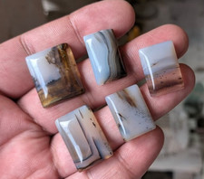 Natural Agate Cabochon 5 Pcs Lot, Polished Loose Gemstone For Jewelry Making