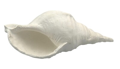 Large 11'' White Plaster Art Conch Sea Shell Planter Indoor Home Beach Decor