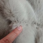 Foto 10 di 10