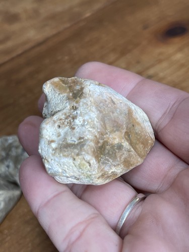 Rocas naturales de Ohio para decoración- - Imagen 5 de 9