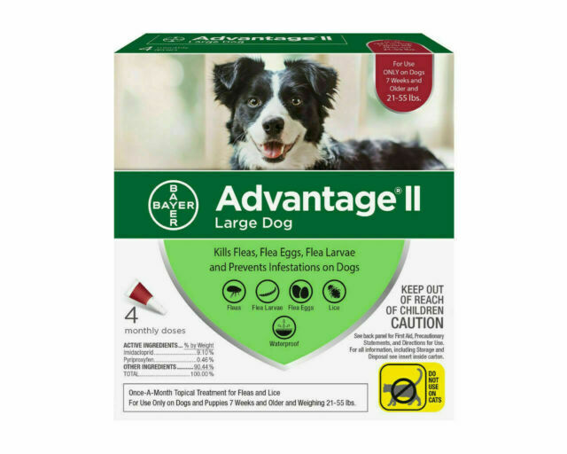 ebay advantage for dogs