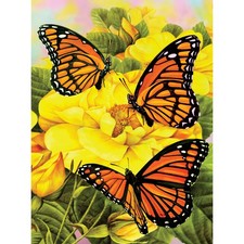 Royal  Langnickel R Small Paint By Number Kit 8.75"X11.75"-Majestic Monarchs