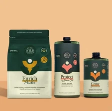 We The Wild Essential Houseplant Care Kit Value Trio 