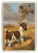 ENGLISH SPRINGER SPANIEL DOG FRIDGE MAGNET GREAT GIFT