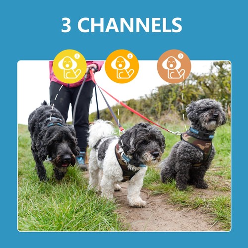 Dog Shock Collar with Remote Control - 3300Ft Dog Training Collar for Dogs 60... - Picture 6 of 7