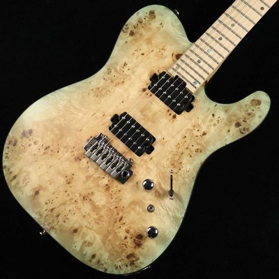 Bacchus Bacchus TACTICS24-BP M KRB-BS-MH　S N: I03509 One Day Guitar Show 2024