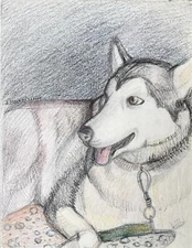 " Best friend " is the original art graphics of the Ukrainian artist