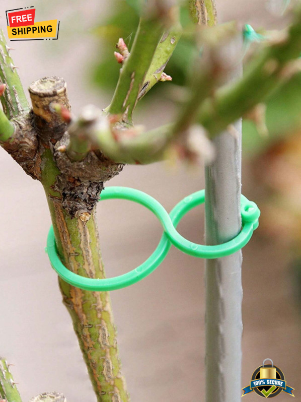 50Pcs Garden Plant Support 8-Shaped Clips For Stems & Flower Brackets