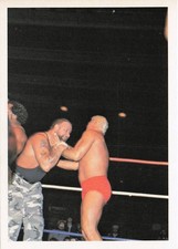 1988 Wonderama NWA #256 Luke Williams