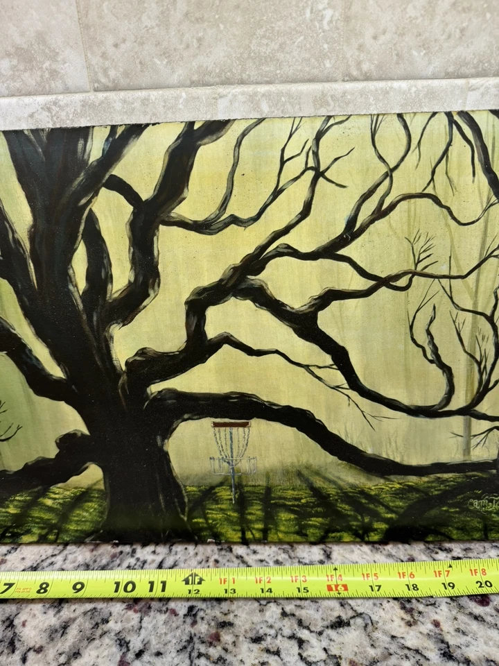 Discraft Cam Todd Signed Painted Picture Misty Greens Wow Very Nice Fast Ship - Image 4 of 4