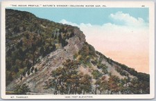 Indian Profile, Mt Tammany, Delaware Water Gap PA, c1920s White Border Postcard