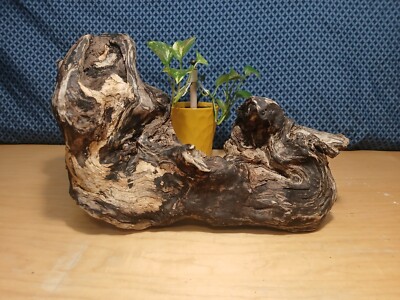 Unique Large Marbled Driftwood Root Sculpture Show Piece, Natural Art Decor