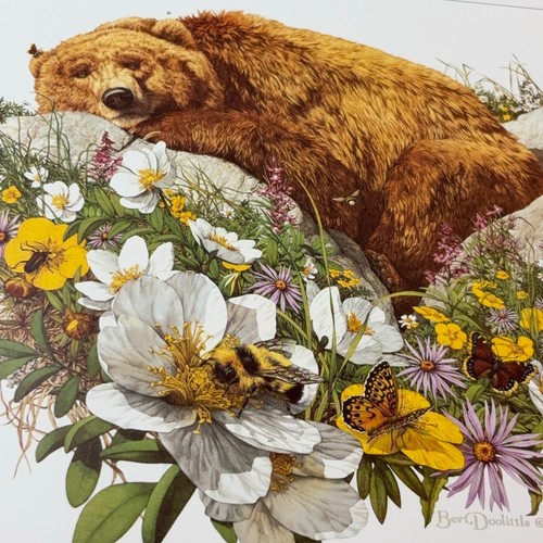 Piatto libro natura Bev Doolittle stampa vintage 6,5" quadrato orso ape fiore farfalla - Foto 5 di 6