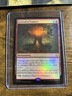 FOIL Prerelease FESTIVAL OF EMBERS mtg NM Bloomburrow Rare Stamped PROMO