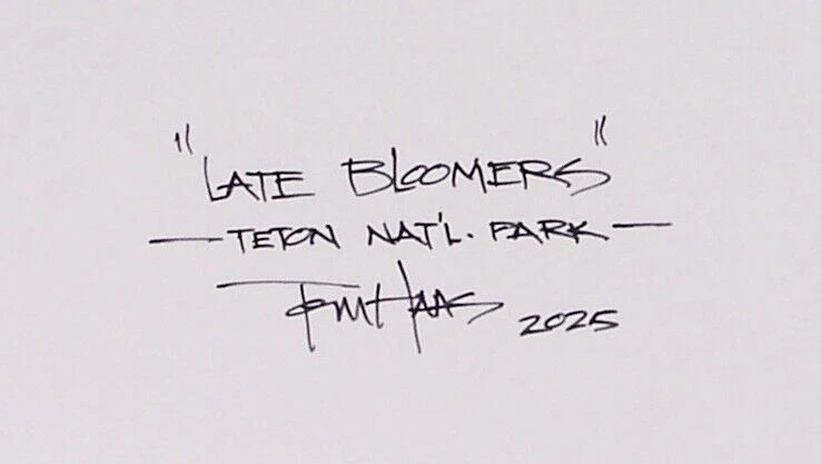 Pintura TOM HAAS 'Late Bloomers' óleo 11x14 Wyoming Grand Tetons flores del bosque Foto 2 de 2