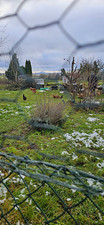 Gartengrundst&uuml;ck