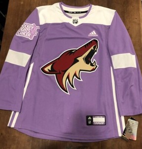 arizona coyotes hockey fights cancer