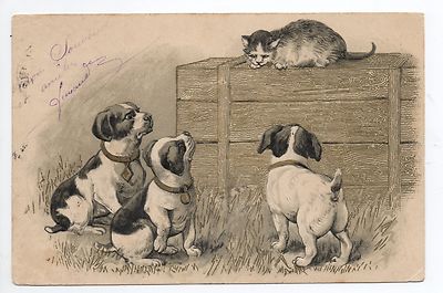 Tier KATZE Cat Cat Illustrator Karte Prägekarte Katze gefangen 3 Hunde