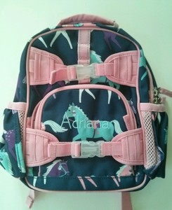 Pottery Barn Kids Mackenzie Pink Blue Horse Mini Preschool