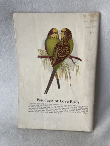 1925 Catalog "Canaries for Pleasure & Profit" 52 Pages - Picture 2 of 4