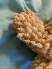 Bild 9 von 10