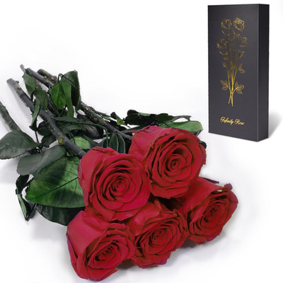 Yamonic Ewige Rose Geschenke Für Frauen,Infinity Rose Mit Stiel Valentinstagsges