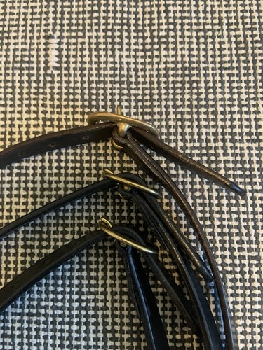 Showhalfter in Messing poliert schwarz/Havanna Voll/Cob Top Qualität Leder - Bild 6 von 10