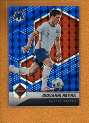 世界1枚限定！PANINI 1of1 REYNA レイナ ジャージカード 世界1枚限定！PANINI 1of1 REYNA レイナ ジャージカード 世界1枚限定