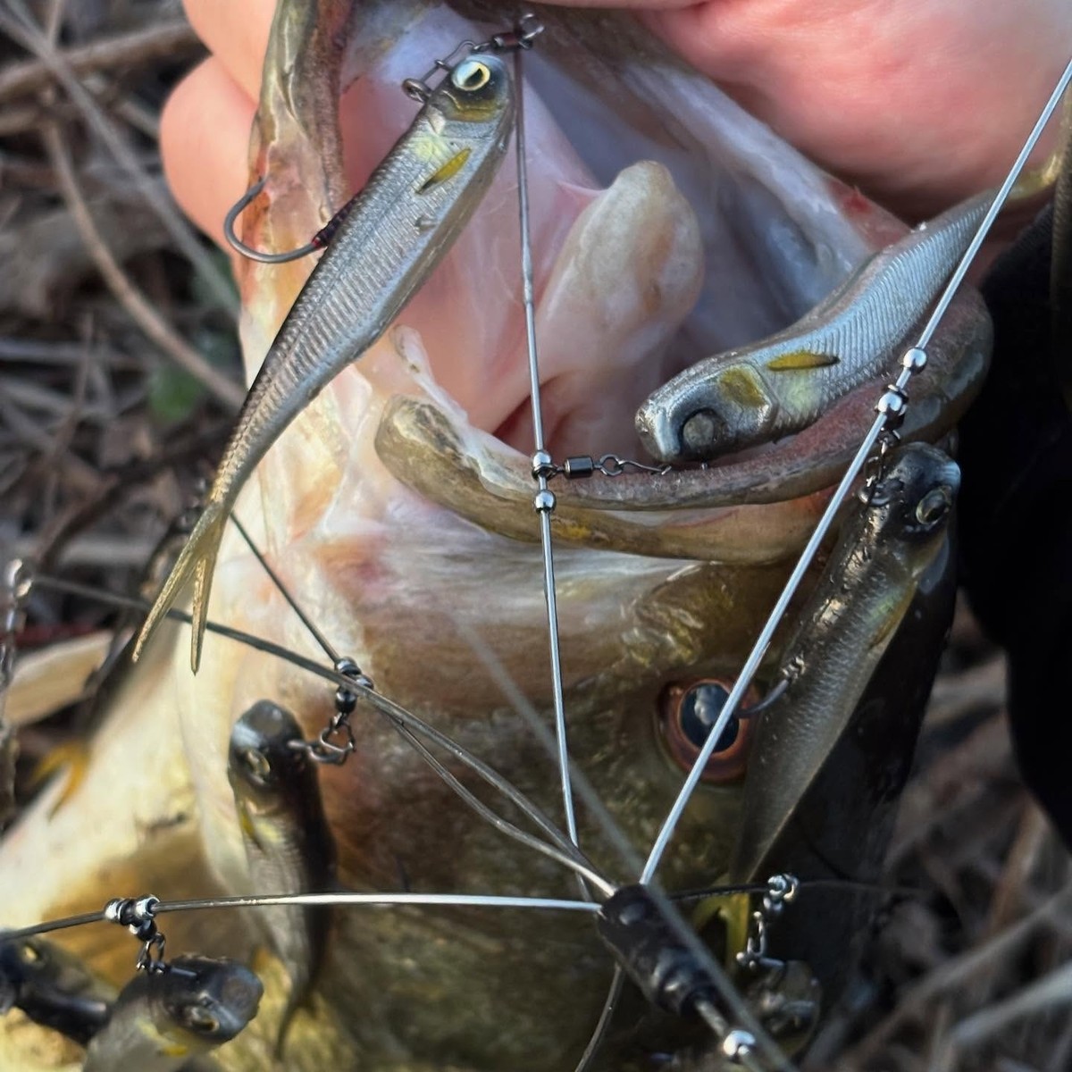 RAID JAPAN GHOST WIRE NEXT LEVEL Please Choose a Color Alabama