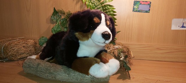Uni Toys Berner Sennenhund liegend 35cm Plüschtier Kuscheltier Stofftier Uni Toys Berner Sennenhund liegend 35cm Plüschtier Kuscheltier Stofftier