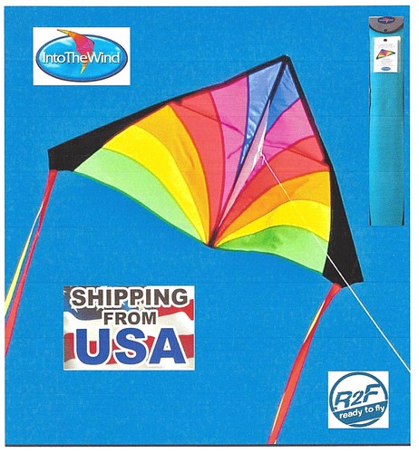Delta Kids Kite + RipStop Nylon Material + Schnur am Griff + 2-Schwänze + Tasche - Bild 4 von 5