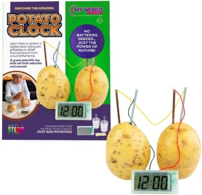 KARTOFFELUHR Betreiben Sie eine Digitaluhr mit nur einer Kartoffel als Kraft Spaß Kinder Wissenschaft