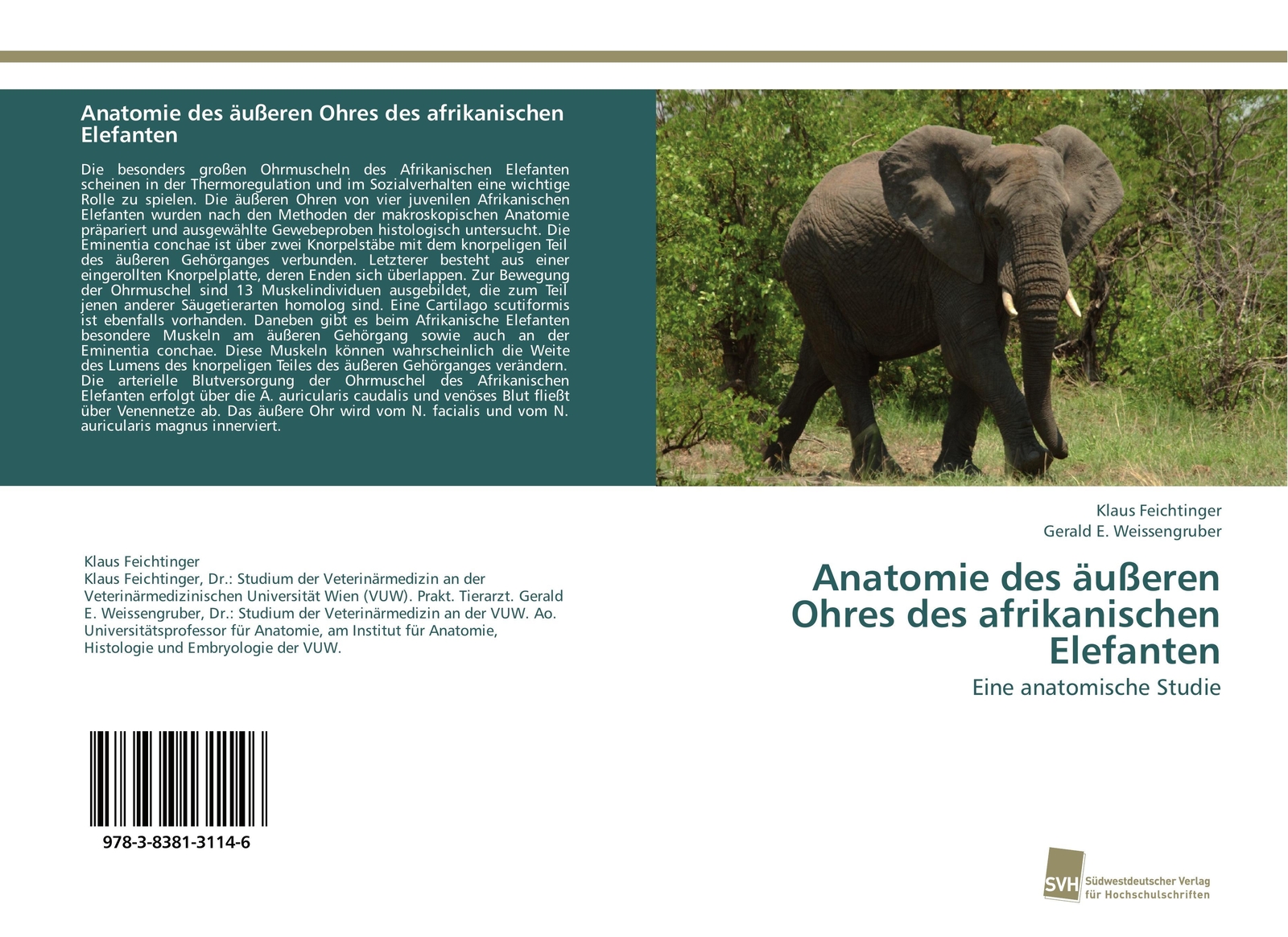 Thumbnail - Anatomie Des Äußeren Ohres Des Afrikanischen Elefanten Eine