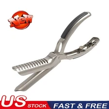 Stainless Steel Rib Prep Tool with Ergonomic Handle for Membrane Removal