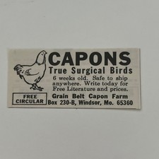 Cinturón de grano Capon Farm True Surgical Birds Windsor MO 1965 revista anuncio SAH1-S36