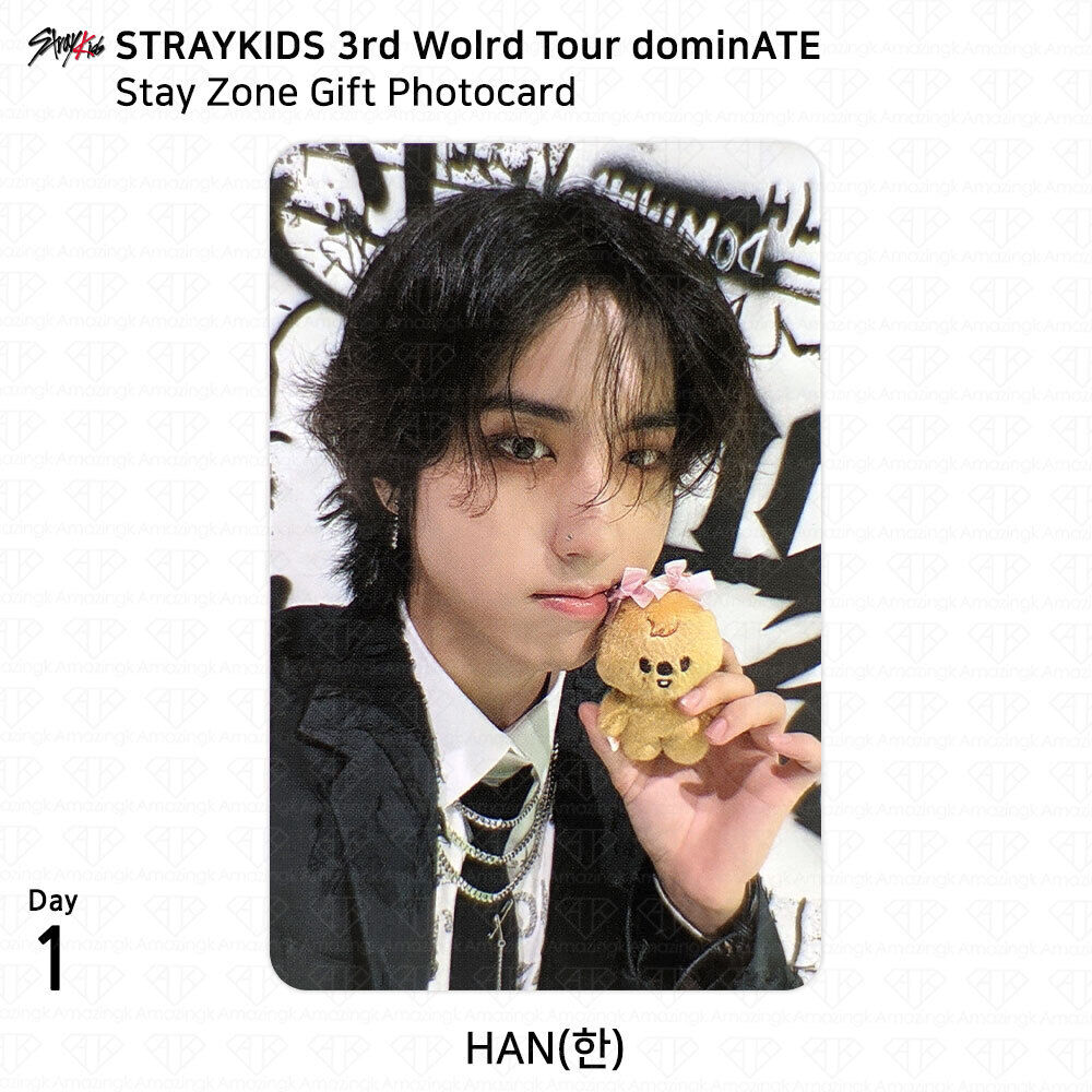 Stray Kids 3rd World Tour dominATE Stay Zone Day1 2 Gift Stray Kids 3rd World Tour dominATE Stay Zone Day1 2 Gift