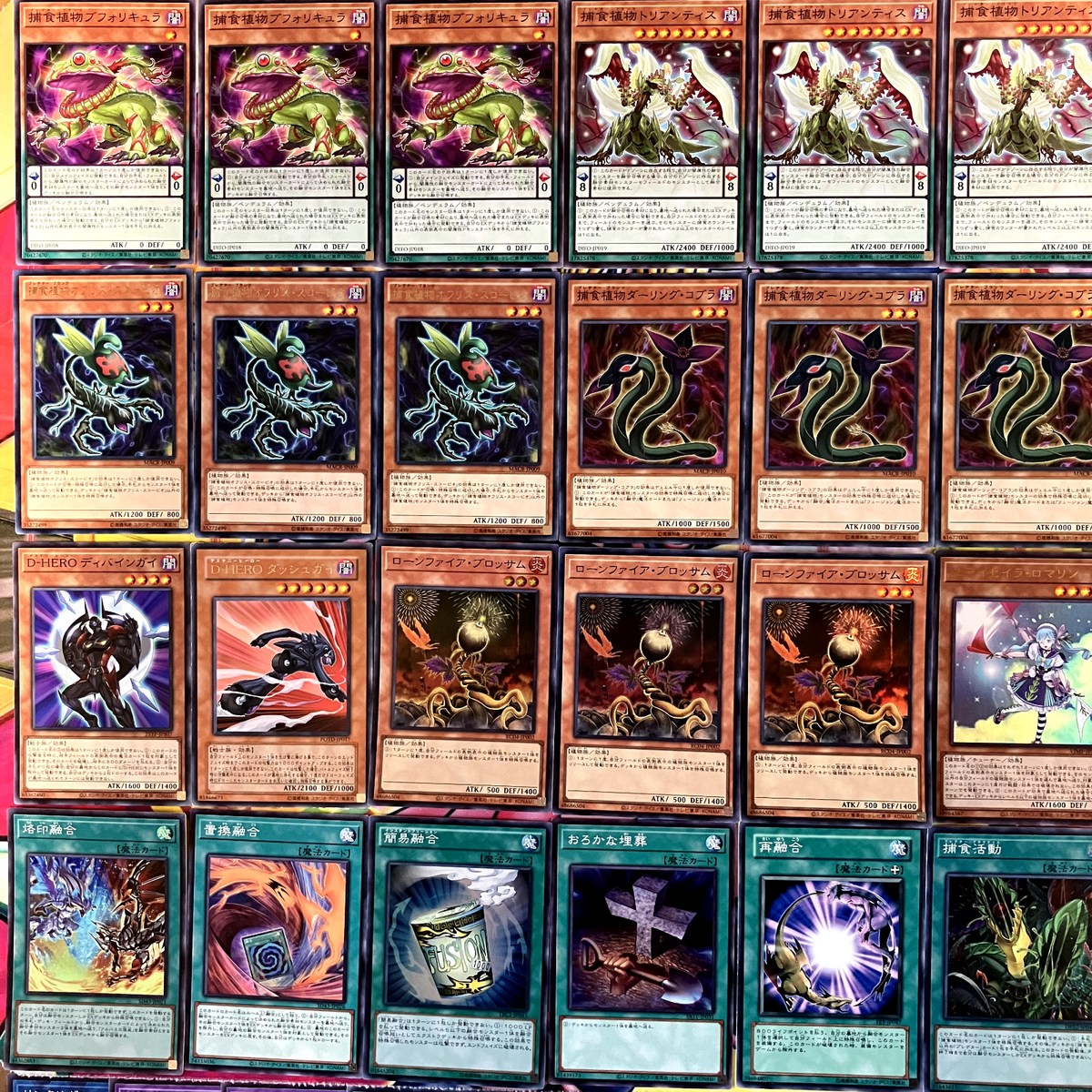 捕食植物 プレデタープランツ デッキ 遊戯王 Predaplant deck yu 捕食植物 プレデタープランツ デッキ 遊戯王 Predaplant deck yu