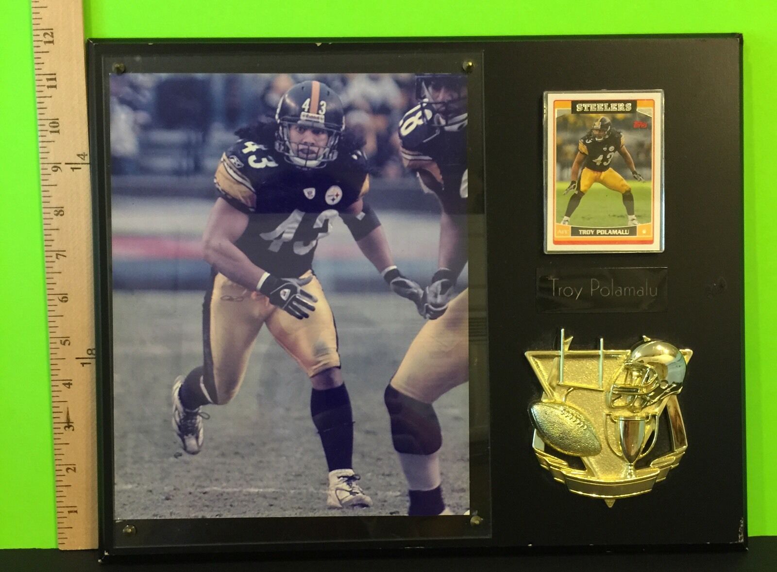 Pittsburgh Steelers TROY POLAMU PLAQUE With Topps Trading Card Gift