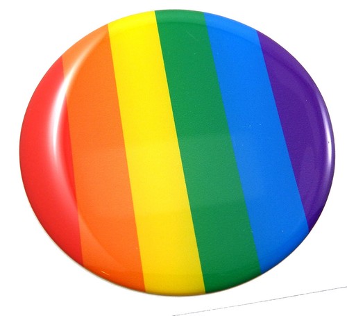 Pride Gay Lesbian flag Round domed decal emblem Car bike 3d sticker  2.44"  - Foto 1 di 2