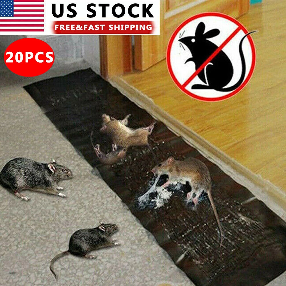 Mouse And Rat Glue Traps Small Size