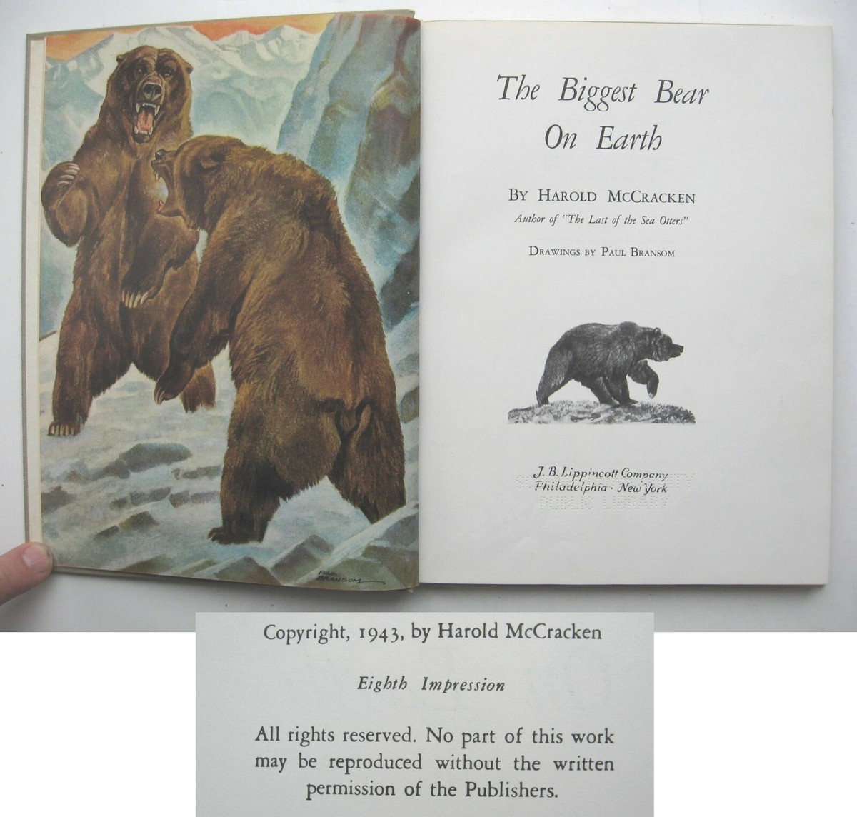  Bear [洋書] The Big Brown Bear (Giant Size): Georges Duplaix, Gustaf Tenggren