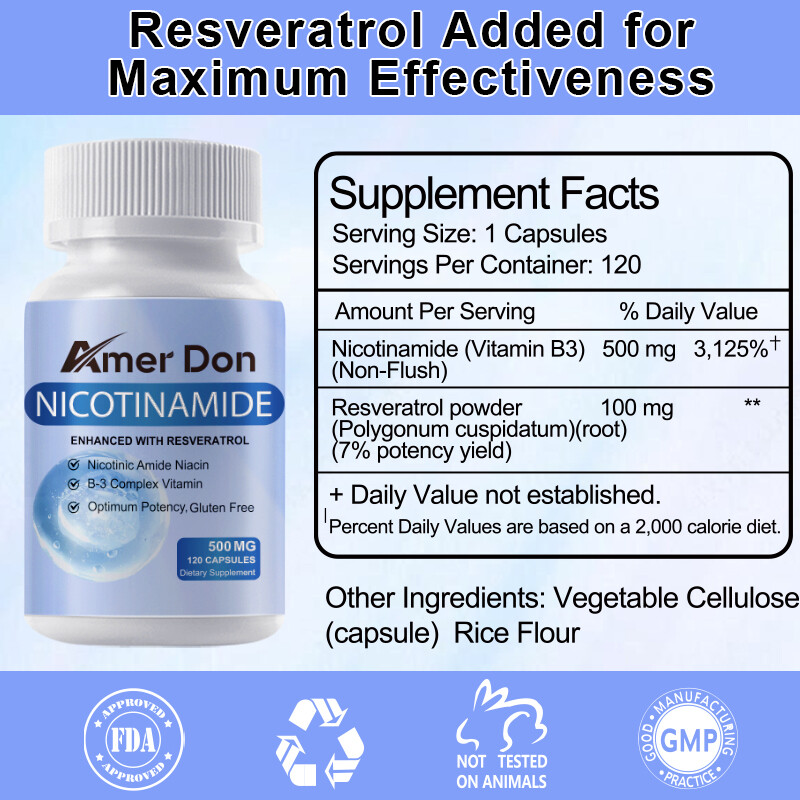Nicotinamide 500mg Vitamin B3 Supplement Energy Support Skin Health 240 Capsules