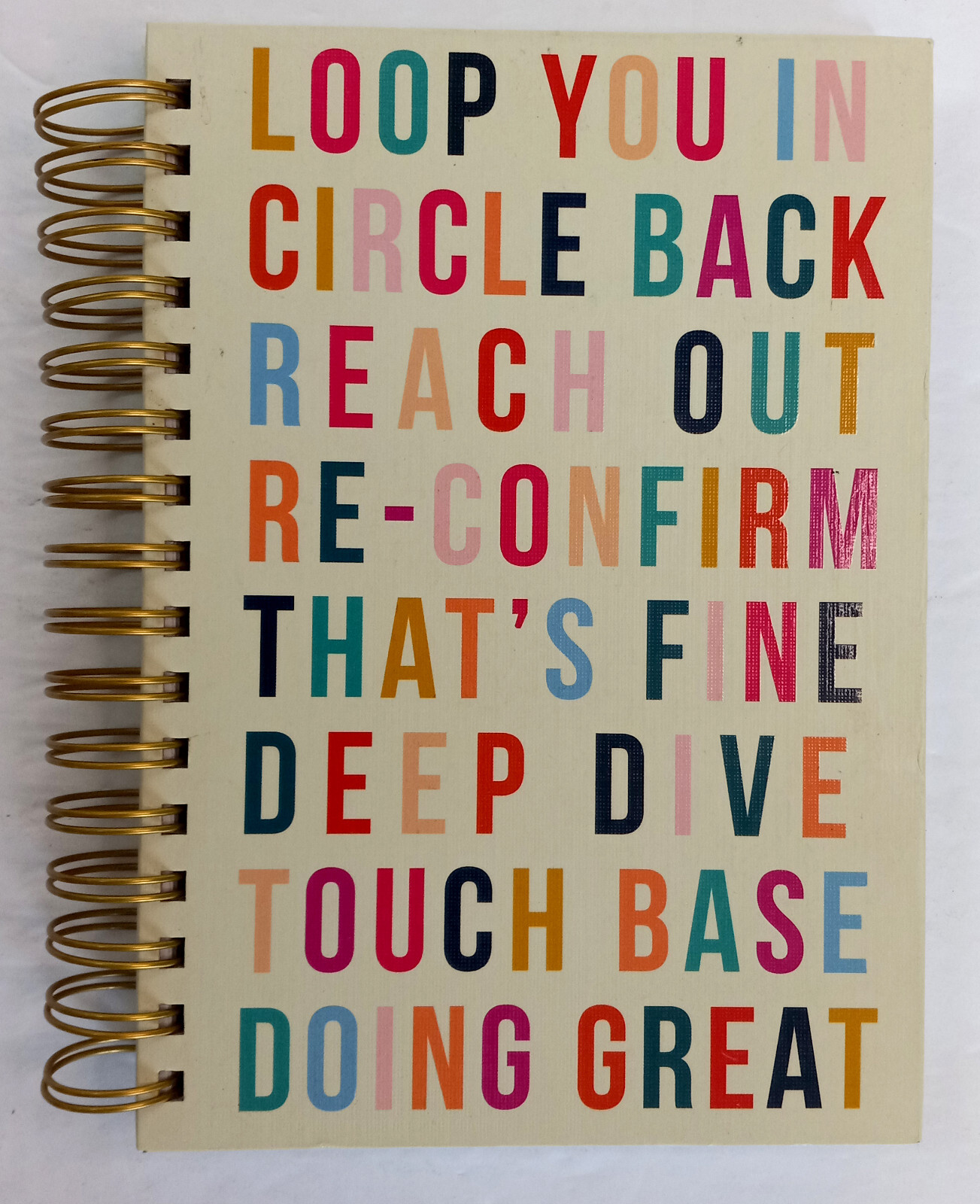 Spiral Bound Journal 6x8.5 Inches 250 Pages Word Theme Molly & Rex Notebook-image