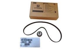 Kit de distribution Fiat DUCATO