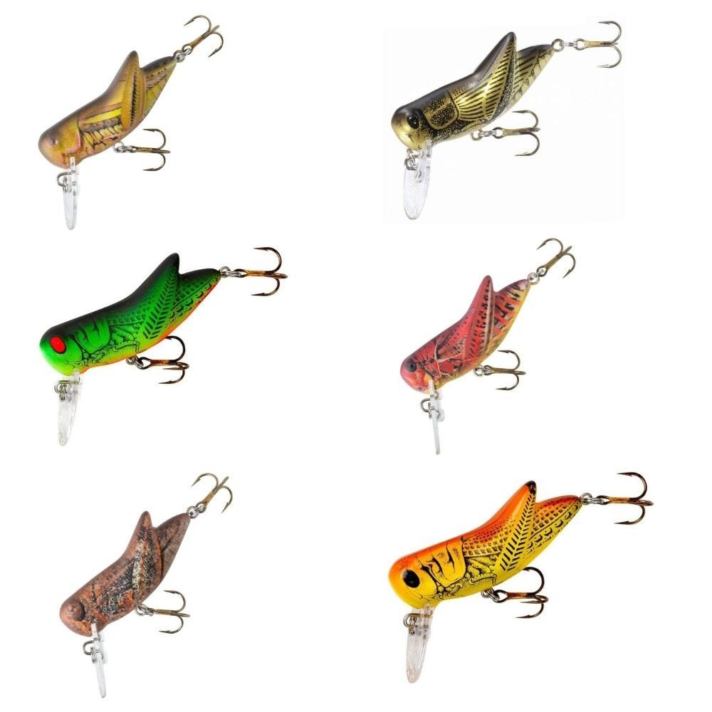 Bighopper - Brown Cricket - Rebel F73M95 Bighopper - Brown Cricket - Rebel F73M95