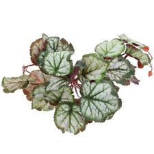  Piante Acquario Finte Terrario Di Plastica Dell'acquario D'acquario